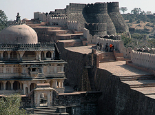 India-Rajasthan-Castle to Castle Safari in Rajasthan